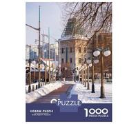 Puzzle Da 1000 Pezzi Per Adulti, Regali OTTAWA 5 Puzzle Per Adulti Gioco Pratico Ma Divertente E Umoristico Ottimo Regalo Per I Giocatori 38x26cm/1000pcs