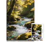 Puzzle da 1000 pezzi per adulti Ruscello nella foresta con rocce muschiose Meraviglioso per le giornate di svago pigro Affidabile Taglio aderente Dimensioni del giocattolo 38x52cm