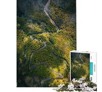 Puzzle da 1000 pezzi per adulti tema Foresta Serpente e Strada Puzzle per adulti analisi logica e difficile gioco educativo per tutta la famiglia 38x52cm