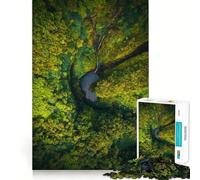 Puzzle da 1000 pezzi per adulti,veli a cascata,incastro perfetto,gioco di logica,regalo,gioco lento,decorazione natalizia da parete (38x26cm)