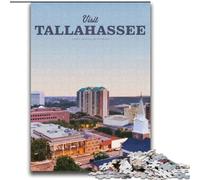 Puzzle da 1000 pezzi per adulti Visita Tallahassee, aiuta il cervello a esercitare i giocattoli avvincenti per coltivare la pazienza Decorazione perfetta 75x100cm