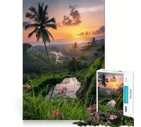 Puzzle da 1000 pezzi per ragazzi, Alba tropicale su terrazze, gioco a incastro, stimola la mente, divertimento, svago, Natale, arte per la casa (38x52cm)