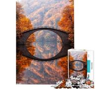 Puzzle da 1000 pezzi per ragazzi con arco in pietra ponte e riflessi gioco per famiglie decorazione per la casa interazione genitore-figlio (dimensioni 50x75cm)