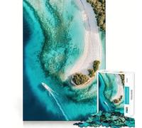 Puzzle da 1000 pezzi per ragazzi con isola tropicale vista aerea disegno finemente intagliato allenamento della concentrazione divertente gioco per momenti di tranquillità regalo di Natale (38x26cm)