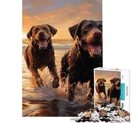 Puzzle da 1000 pezzi per ragazzi: Due Labrador sulla spiaggia Un puzzle difficile e stimolante un'opera d'arte Giochi divertenti adatti a persone dai 14 anni in su (38x26cm)