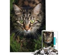 Puzzle da 1000 pezzi per ragazzi gatto che cammina nell'erba difficile e stimolante decorazione per la casa gioco rilassante per ragazzi dai 14 anni in su (38x52cm)