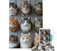 Puzzle da 1000 pezzi per ragazzi nove gatti che guardano in alto giocattolo educativo per l'apprendimento giochi rilassanti attività per la famiglia regalo per donne e uomini (dimensioni 38x52cm)