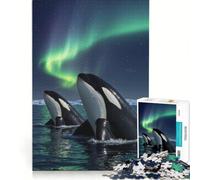 Puzzle da 1000 pezzi per ragazzi: Orche sotto l'aurora boreale gioco educativo interazione genitore-figlio ideale come regalo 38x26cm
