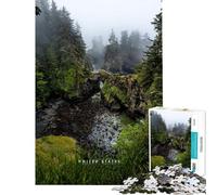 Puzzle da 1000 pezzi per ragazzi Oregon gioco pratico giocattolo avvincente per coltivare la pazienza regalo di compleanno decorazione per la casa (dimensioni 38x26cm)