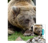 Puzzle da 1000 pezzi per ragazzi orso che dorme su una pietra puzzle per adulti giochi rilassanti taglio di precisione ideale per compleanni e Natale (dimensioni 38x26cm)