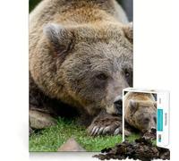 Puzzle da 1000 pezzi per ragazzi: Orso che dorme sulla pietra,gioco di incastro preciso,gioco di abilità mentale,divertimento rilassante,ideale per compleanni (50x75cm)