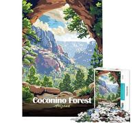 Puzzle da 1000 pezzi per ragazzi paesaggio della foresta di Coconino Arizona Puzzle artistico per adulti giochi per famiglie migliora la memoria compleanni e occasioni speciali