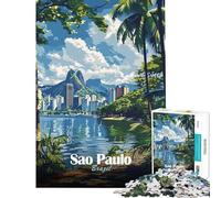 Puzzle da 1000 pezzi per ragazzi paesaggio urbano di San Paolo gioco intellettuale rilassante adatto alle coppie regalo divertente (dimensioni 50x75cm)