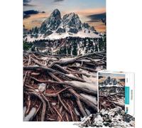 Puzzle da 1000 pezzi per ragazzi Passo Delle Erbe Puzzle per adulti Giochi divertenti Antistress Regali di Natale e compleanno (Dimensioni 38x52cm)