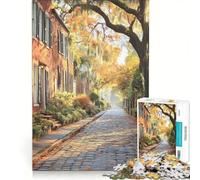 Puzzle da 1000 pezzi per ragazzi raffigurante il quartiere storico di Savannah in Georgia un dipinto artistico un gioco fai-da-te utile per migliorare la memoria un oggetto da collezione per artisti