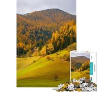 Puzzle da 1000 pezzi per ragazzi raffigurante montagne valli e Dolomiti Gioco per famiglie decorazione per la casa e interazione genitore-figlio (dimensioni 38x52cm)