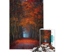 Puzzle da 1000 pezzi per ragazzi sentiero autunnale nella foresta Puzzle per ragazzi che migliora la memoria aiuta ad allenare il cervello gioco educativo per tutta la famiglia 50x75cm