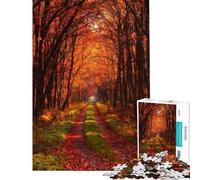 Puzzle da 1000 pezzi per ragazzi sentiero autunnale nella foresta sfida impegnativa per compleanni Natale rompicapo per tutta la famiglia 50x75cm