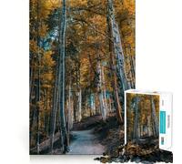 Puzzle da 1000 pezzi per ragazzi,sentiero nella foresta autunnale,taglio liscio,gioco di logica,gioco rilassante,regalo di compleanno per hobby (38x52cm)