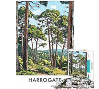Puzzle da 1000 pezzi per ragazzi sentiero nella foresta di Harrogate puzzle per adulti giochi per famiglie schema di assemblaggio offerta come regalo per tutta la famiglia (dimensioni 50x75cm)