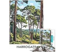 Puzzle da 1000 pezzi per ragazzi sentiero nella foresta di Harrogate puzzle per adulti giochi rilassanti antistress ottimo regalo per gli appassionati di videogiochi (dimensioni 38x52cm)