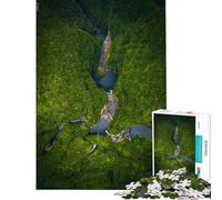 Puzzle da 1000 pezzi per ragazzi Sinfonia Acquatica gioco rompicapo sfida difficile da completare (dimensioni 50x75cm)