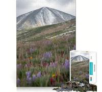 Puzzle da 1000 pezzi "Prato di montagna con fiori selvatici" per adulti, gioco di logica e rilassamento, bordi affilati, regalo di alta qualità (38x52cm)