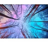Puzzle da 1000 pezzi, puzzle per adulti, un puzzle impegnativo, per tutta la famiglia, regali per donne, regali per uomini, tema: cielo sotto i rami