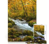 Puzzle da 1000 pezzi raffigurante il fiume Oirase che scorre in una foresta autunnale ideale per ragazzi Gioco di puzzle per la mente perfetto per divertirsi a casa Taglio preciso regalo perfetto