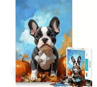 Puzzle da 1000 pezzi raffigurante un cucciolo di Boston Terrier con zucche,con intagli precisi Attività di gioco intelligente e rilassante,ideale come regalo di compleanno 38x52cm