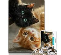 Puzzle da 1000 pezzi raffigurante un gatto bianco e nero, difficile da completare ma divertente e umoristico, con poster abbinato e foglio di quiz, 38x26cm