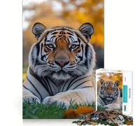 Puzzle da 1000 pezzi raffigurante una tigre che riposa in un prato erboso, ideale per ragazzi Gioco di logica e puzzle da assemblare, divertente e di precisione Regalo elegante 38x52cm