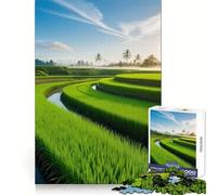 Puzzle da 1000 pezzi "Risaia all'alba" per adolescenti, gioco per l'esercizio mentale, design rilassante, assemblaggio, regalo prezioso (38x26cm)