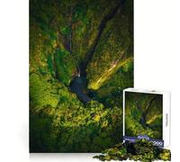 Puzzle da 1000 pezzi "Santuario Tropicale Segreto" per adolescenti, ideale per stimolare la memoria, per il tempo libero a casa e per l'assemblaggio di immagini Un regalo perfetto (50x75cm)