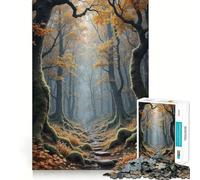 Puzzle da 1000 pezzi: Sentiero autunnale nella foresta con alberi ricoperti di muschio,taglio liscio,gioco di logica,regalo,momento di relax,opera d'arte natalizia (50x75cm)