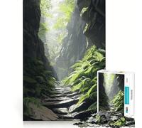 Puzzle da 1000 pezzi "Sentiero di pietra nella foresta" per ragazzi, gioco che stimola la logica e favorisce il gioco rilassante, con bordi di alta qualità e grafica da collezione 50x75cm