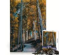 Puzzle da 1000 pezzi "Sentiero nel bosco autunnale" per adulti, stimolante per la mente, ideale per un'attività rilassante e creativa, perfetto come regalo di Natale (50x75cm)