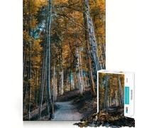 Puzzle da 1000 pezzi "Sentiero nella foresta autunnale" Taglio preciso Gioco stimolante per la mente Divertimento nel tempo libero Decorazione natalizia Regalo (38x26cm)