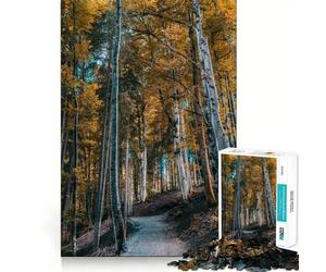 Puzzle da 1000 pezzi "Sentiero nella foresta autunnale" Taglio preciso Gioco stimolante per la mente Divertimento nel tempo libero Decorazione natalizia Regalo (38x26cm)