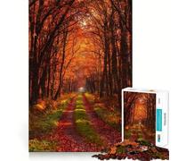 Puzzle da 1000 pezzi "Strada nel bosco autunnale" con taglio preciso,rompicapo creativo,regalo per il tempo libero,divertente,decorazione natalizia da parete (38x52cm)