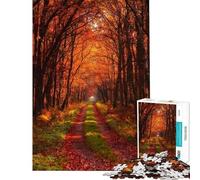 Puzzle da 1000 pezzi Strada nel bosco autunnale di Warm Puzzles per adolescenti ideale per il divertimento in famiglia l'interazione genitore-figlio compleanno e Natale 38x26cm