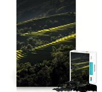 Puzzle da 1000 pezzi "Terrazze di riso in Vietnam" per ragazzi ideale per rafforzare la memoria rilassante e divertente con bordi lisci e perfetto per la lista dei desideri di Babbo Natale (38x26cm)