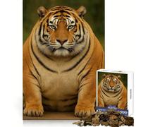 Puzzle da 1000 pezzi "Tigre in sovrappeso e grassa" per adulti, sfida per la mente, antistress, decorazione murale trasparente (50x75cm)