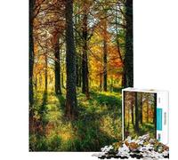 Puzzle da 1000 pezzi "Tramonto autunnale nella foresta" gioco interattivo educativo sfida regalo di compleanno taglio di precisione (dimensioni 38x52cm)