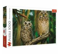 Trefl, Puzzle, Gufi, 1000 Elementi, gufo, gufi sullo sfondo della foresta, ramo di un albero, vegetazione della foresta, paesaggio della foresta, puzzle fai da te, intrattenimento creativo, regalo