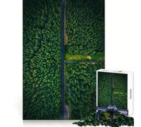 Puzzle da 1000 pezzi "Verdant Sanctuary Road" per adolescenti, ideale per stimolare la memoria e creare un'atmosfera piacevole durante il tempo libero Incastro perfetto Regalo stagionale (50x75cm)