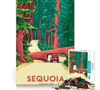 Puzzle da 1000 pezzi "Viaggio a Sequoia" - Incastro perfetto - Gioco stimolante per la mente - Gioco per il riposo - Decorazione natalizia da parete (50x75cm)