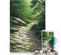 Puzzle da 2000 pezzi per adolescenti Sentiero della foresta rocciosa Assemblaggio del modello Regalo di compleanno, regali, arte murale 70x100cm