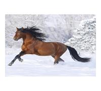 Puzzle da 2000 pezzi per adulti, puzzle di cavalli liberi e sfrenati, gioco familiare educativo, giocattolo e regalo per adolescenti e amici