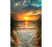 Puzzle da 2000 pezzi per adulti, puzzle paesaggistico creativo in carta da spiaggia ed erbe al tramonto, gioco familiare educativo, decorazione da parete